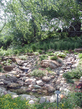 Sargent Landscape, photo by Deb Pike