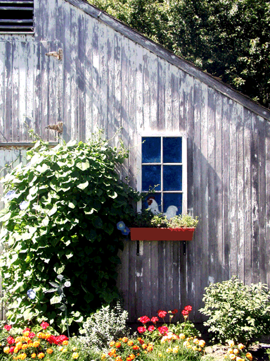 Pike Henhouse Landscaping; Photo by Deb Pike