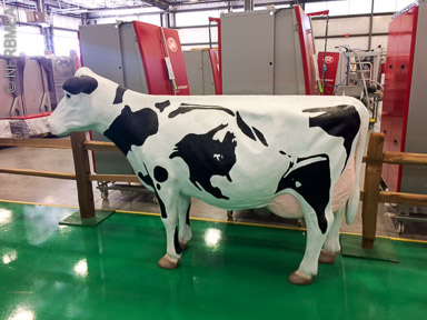 Tour 1: Lely